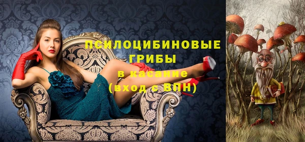 сатива Елабуга