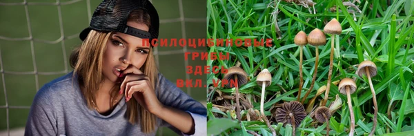 первитин Дмитриев